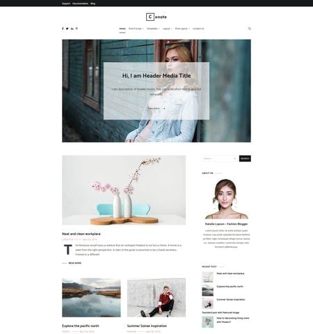 cenote 5 Best Free WordPress Themes for Bloggers 2019