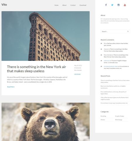 vito 5 Best Free WordPress Themes for Bloggers 2019